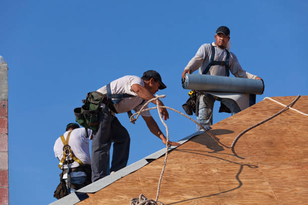 Best Gutter Installation and Roofing  in Port St John, FL